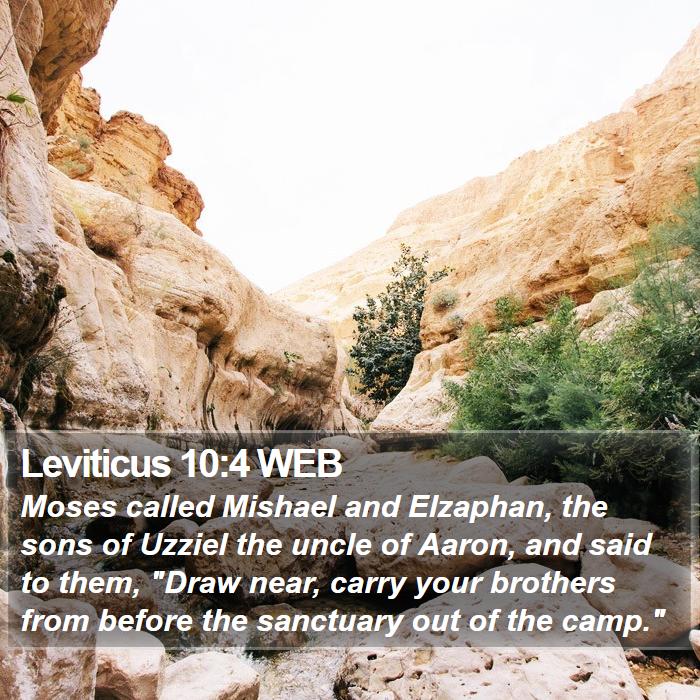 Leviticus 10:4 WEB Bible Study