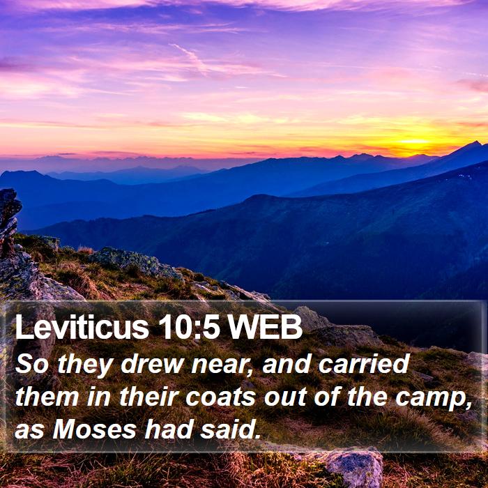 Leviticus 10:5 WEB Bible Study