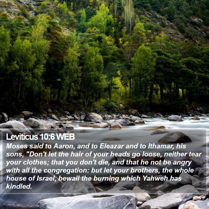 Leviticus 10:6 WEB Bible Study