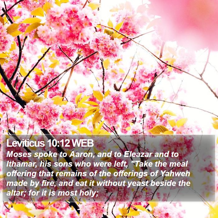 Leviticus 10:12 WEB Bible Study