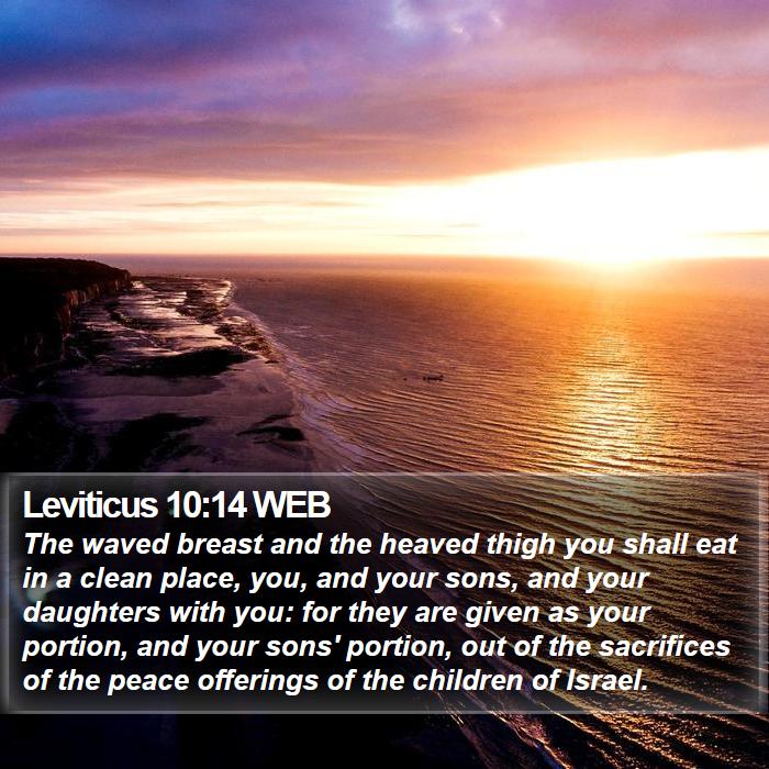 Leviticus 10:14 WEB Bible Study