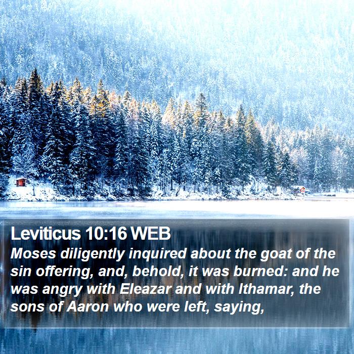 Leviticus 10:16 WEB Bible Study