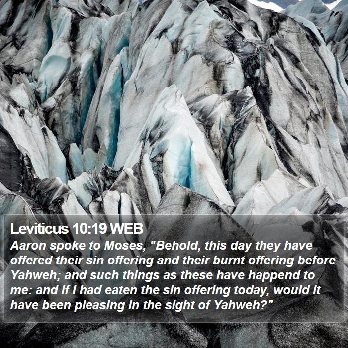 Leviticus 10:19 WEB Bible Study