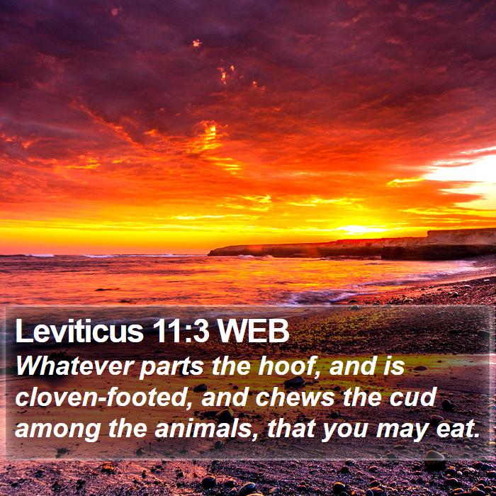 Leviticus 11:3 WEB Bible Study