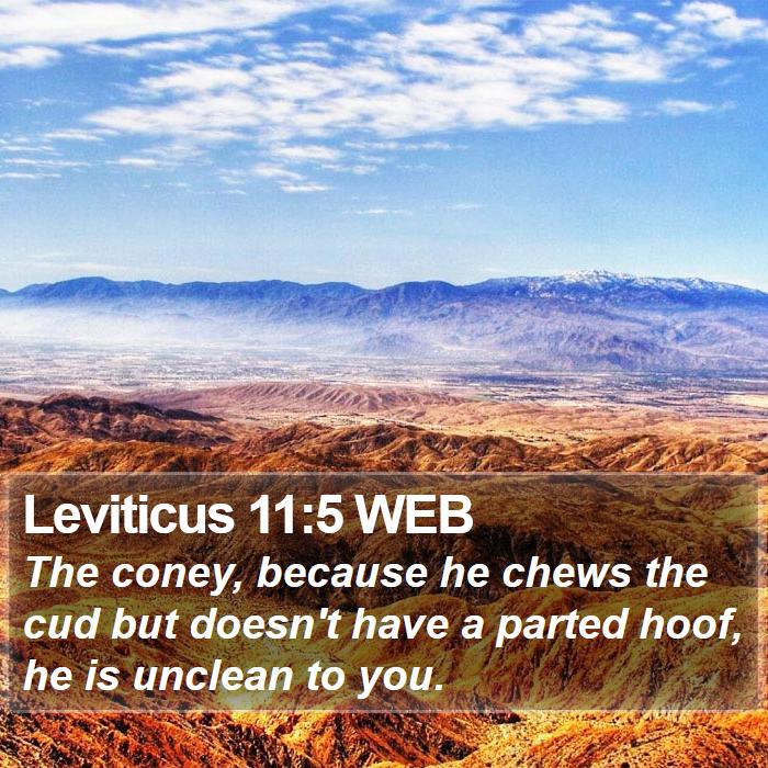 Leviticus 11:5 WEB Bible Study