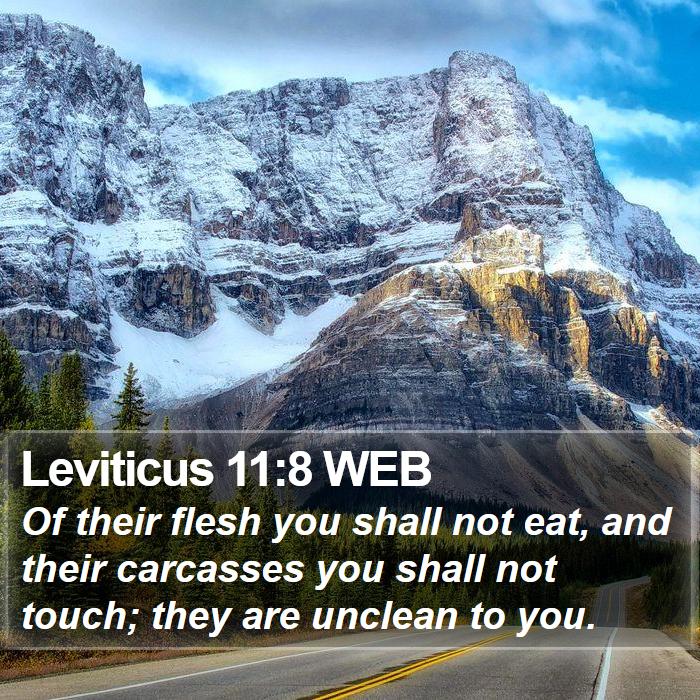 Leviticus 11:8 WEB Bible Study