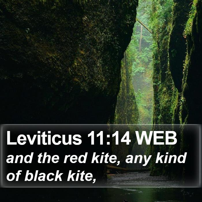 Leviticus 11:14 WEB Bible Study