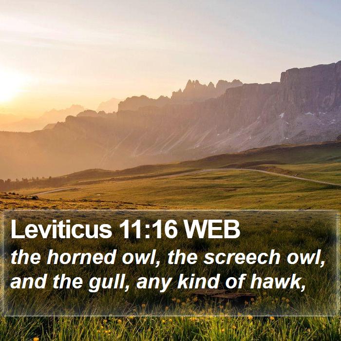 Leviticus 11:16 WEB Bible Study