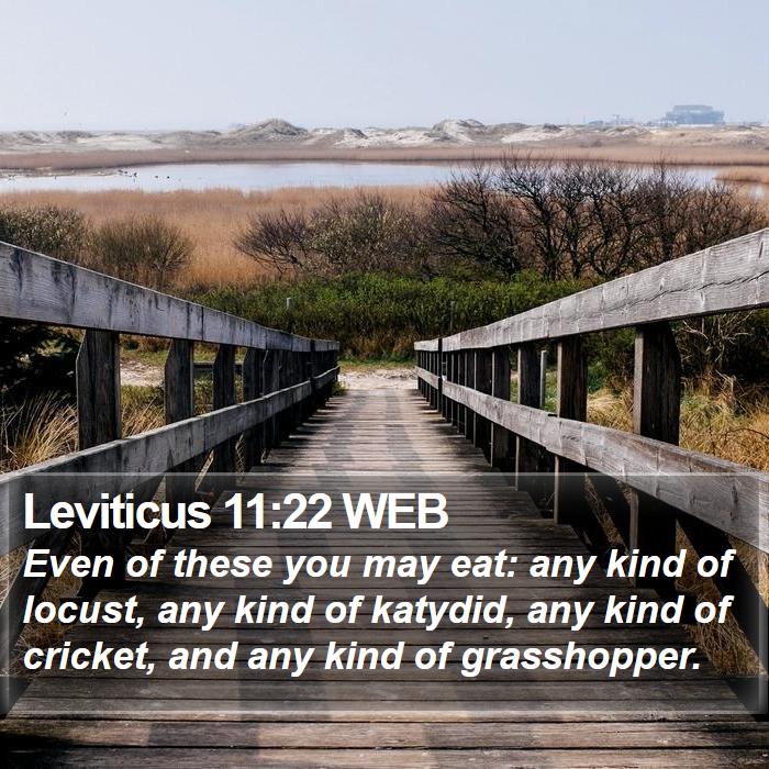 Leviticus 11:22 WEB Bible Study