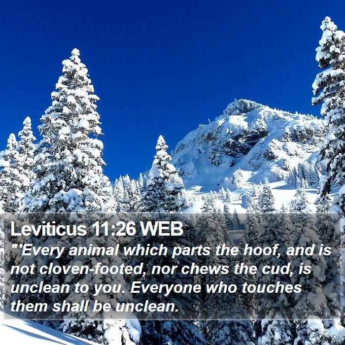 Leviticus 11:26 WEB Bible Study