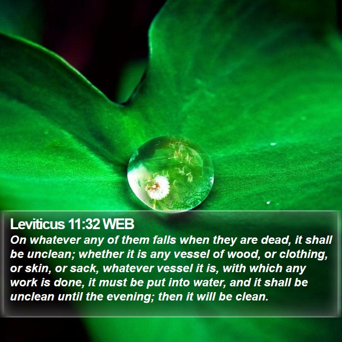 Leviticus 11:32 WEB Bible Study