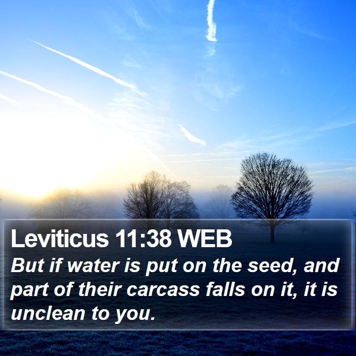 Leviticus 11:38 WEB Bible Study