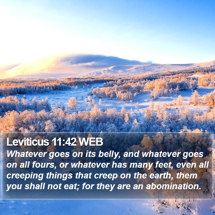 Leviticus 11:42 WEB Bible Study