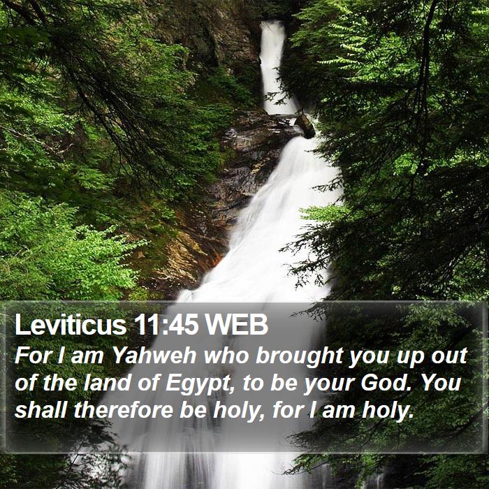 Leviticus 11:45 WEB Bible Study