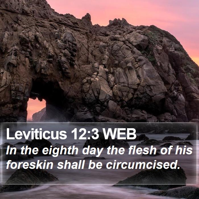 Leviticus 12:3 WEB Bible Study