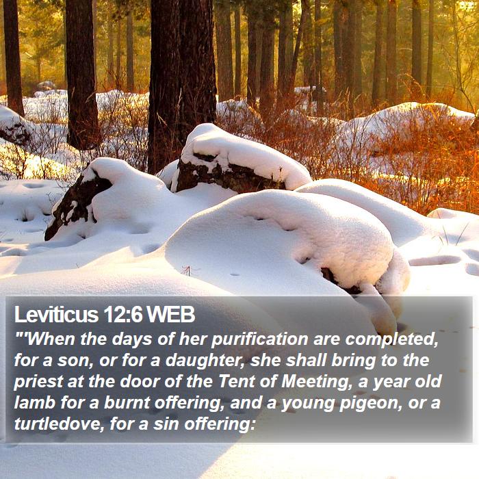 Leviticus 12:6 WEB Bible Study