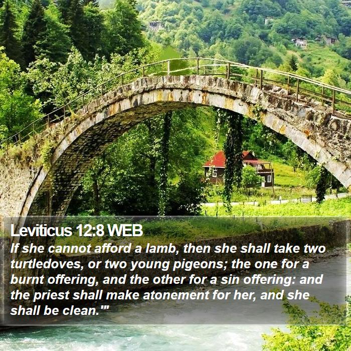 Leviticus 12:8 WEB Bible Study