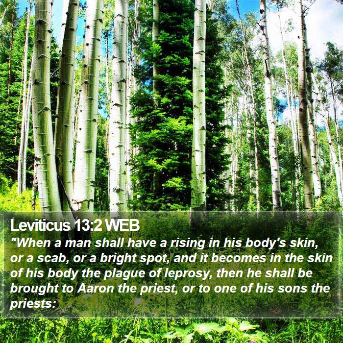 Leviticus 13:2 WEB Bible Study