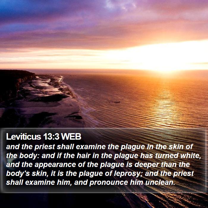 Leviticus 13:3 WEB Bible Study