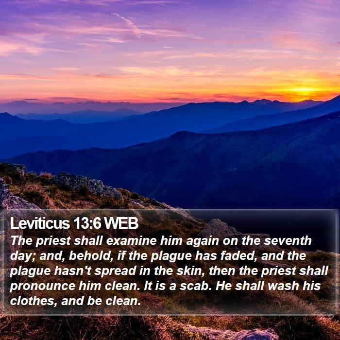 Leviticus 13:6 WEB Bible Study