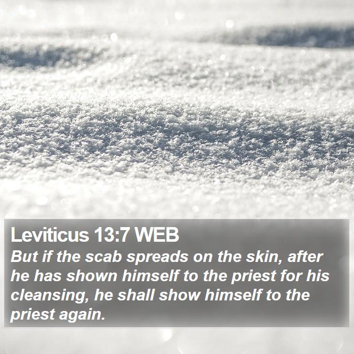 Leviticus 13:7 WEB Bible Study