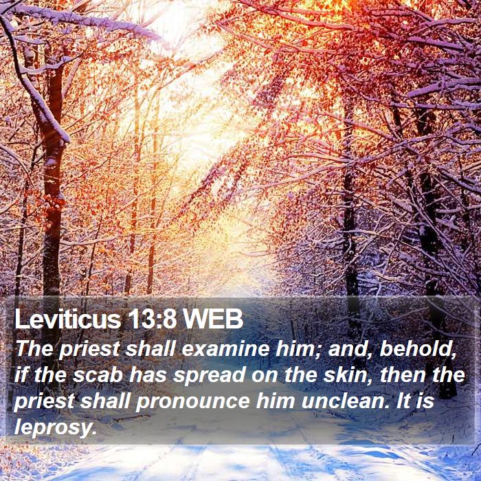 Leviticus 13:8 WEB Bible Study