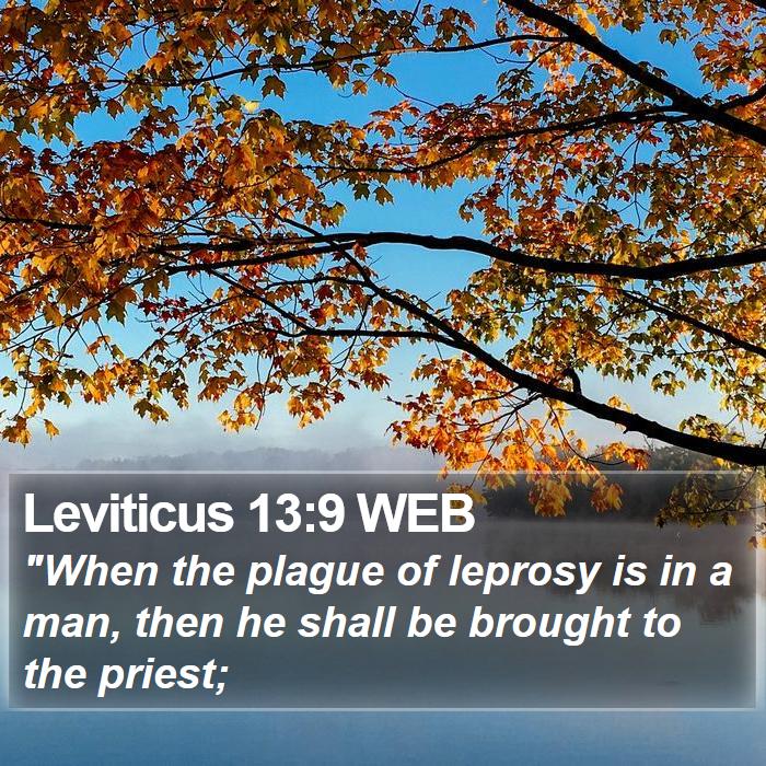 Leviticus 13:9 WEB Bible Study