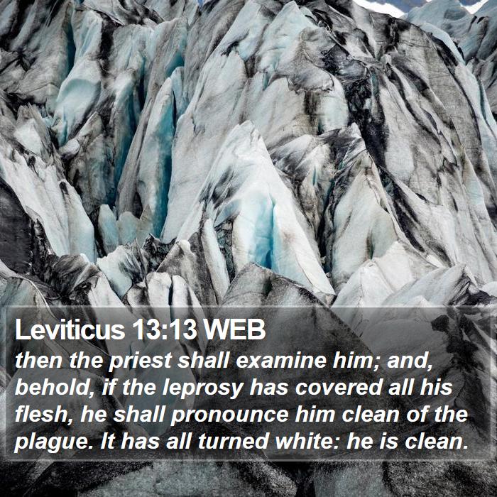 Leviticus 13:13 WEB Bible Study