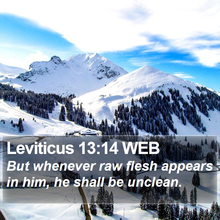 Leviticus 13:14 WEB Bible Study