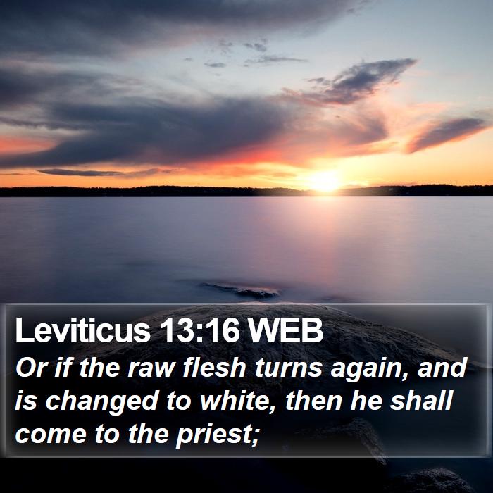 Leviticus 13:16 WEB Bible Study