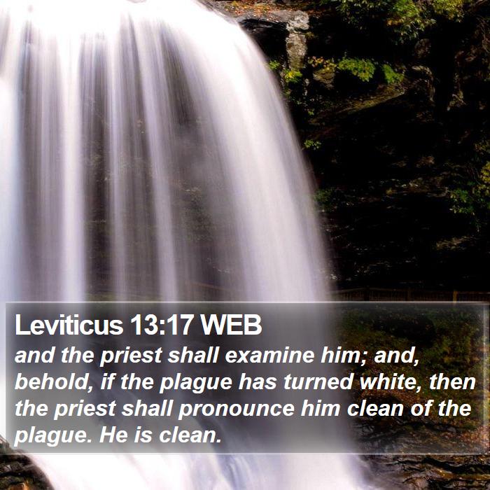 Leviticus 13:17 WEB Bible Study