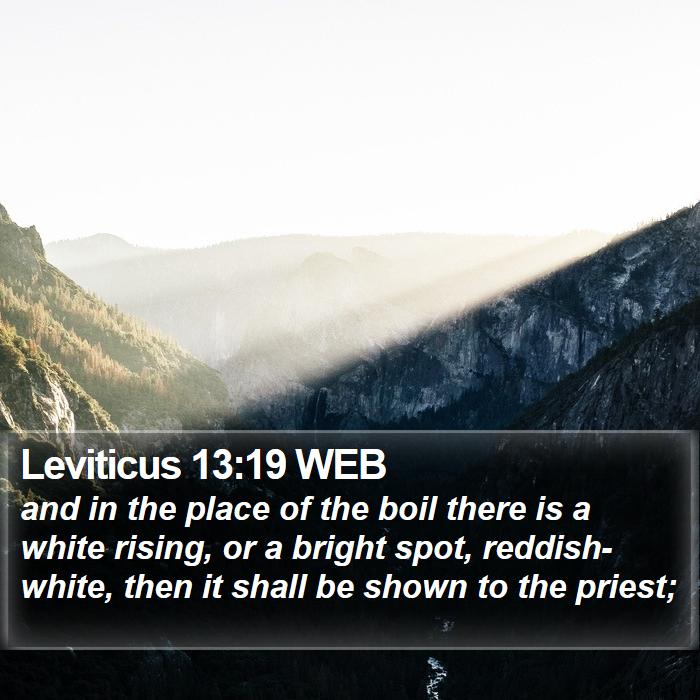 Leviticus 13:19 WEB Bible Study