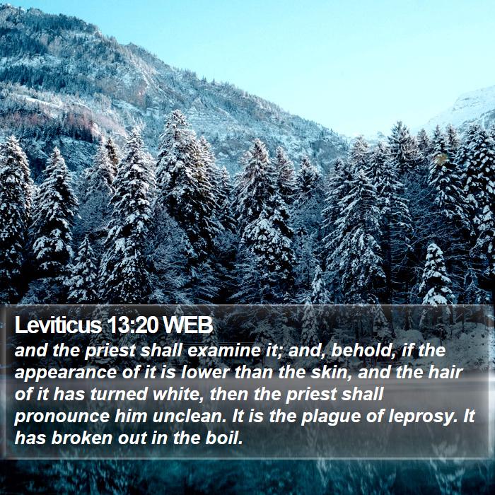 Leviticus 13:20 WEB Bible Study