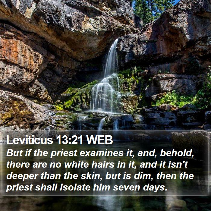 Leviticus 13:21 WEB Bible Study