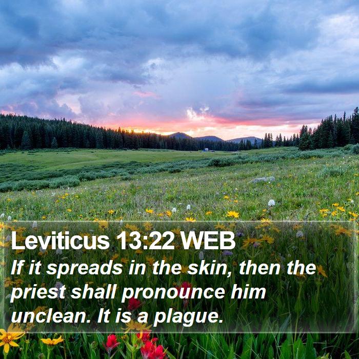 Leviticus 13:22 WEB Bible Study