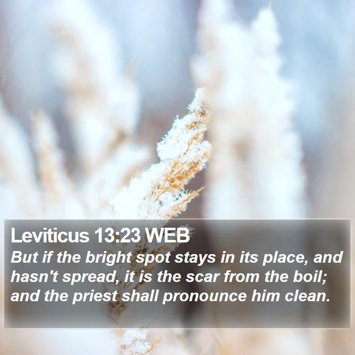 Leviticus 13:23 WEB Bible Study