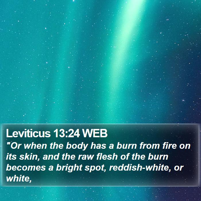 Leviticus 13:24 WEB Bible Study