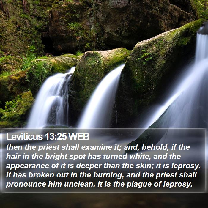 Leviticus 13:25 WEB Bible Study