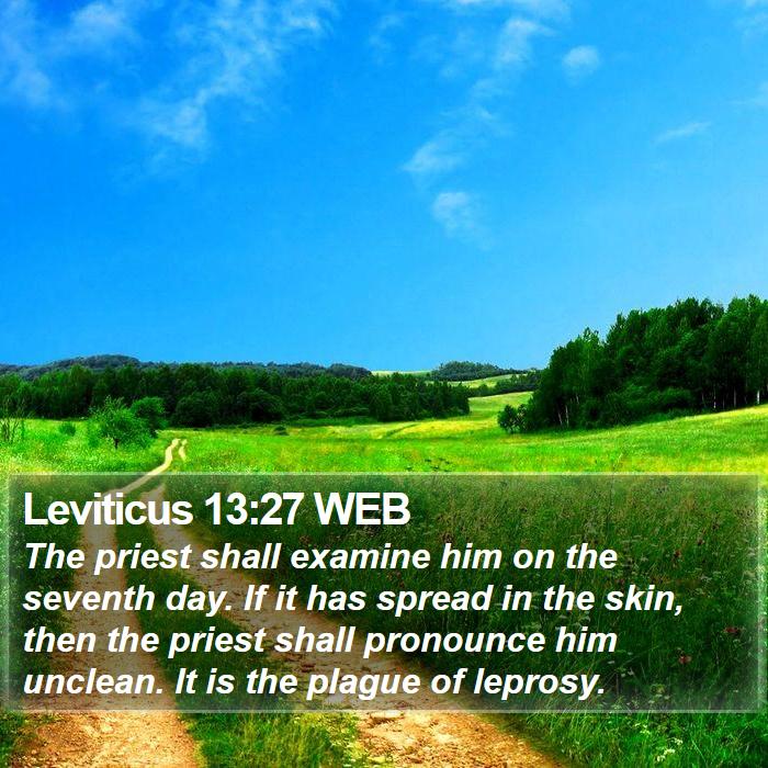 Leviticus 13:27 WEB Bible Study