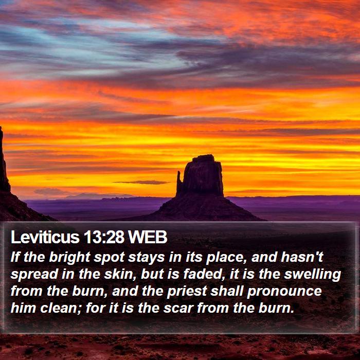 Leviticus 13:28 WEB Bible Study