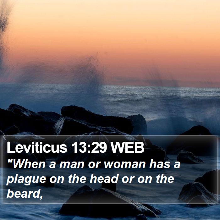 Leviticus 13:29 WEB Bible Study