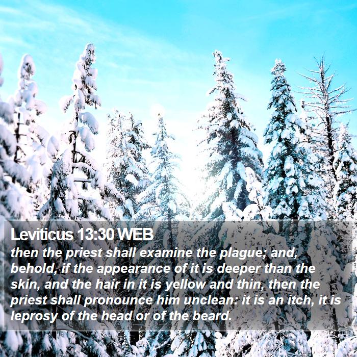 Leviticus 13:30 WEB Bible Study