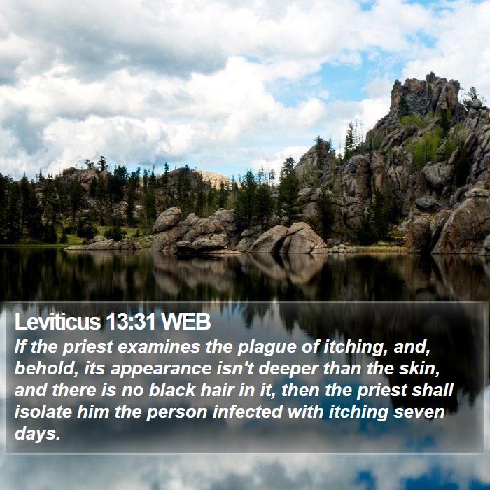 Leviticus 13:31 WEB Bible Study