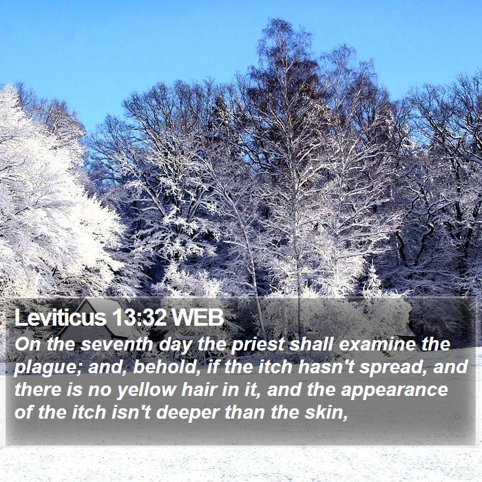 Leviticus 13:32 WEB Bible Study