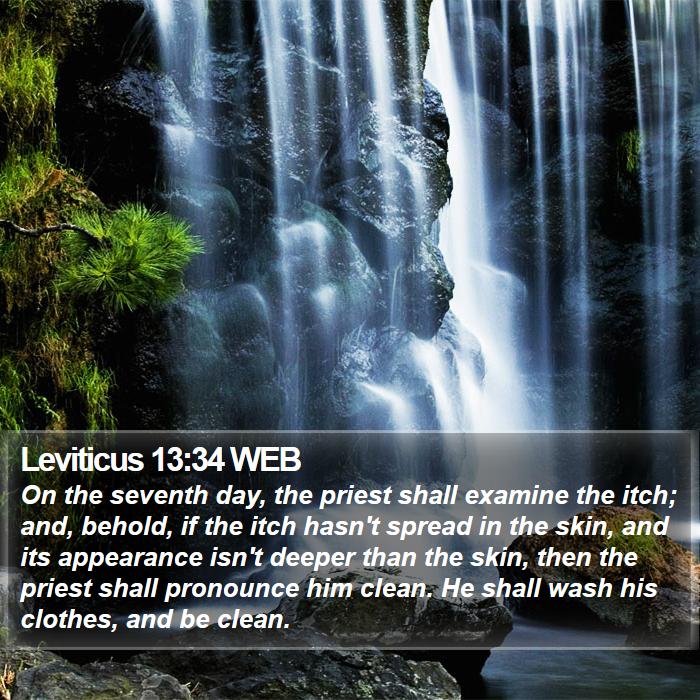 Leviticus 13:34 WEB Bible Study