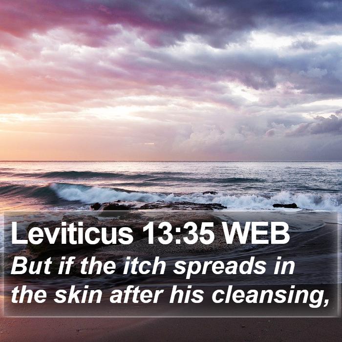 Leviticus 13:35 WEB Bible Study