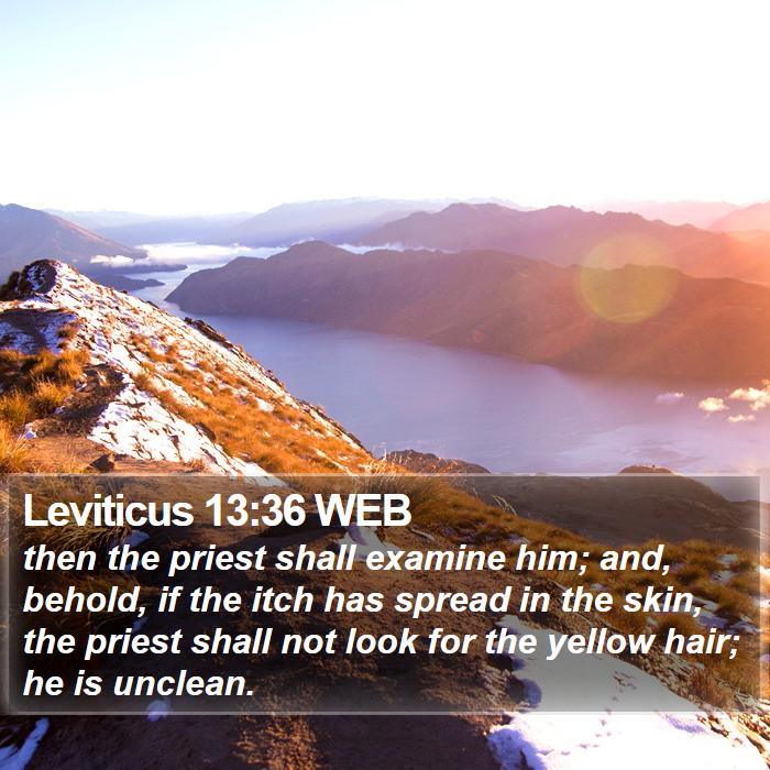 Leviticus 13:36 WEB Bible Study