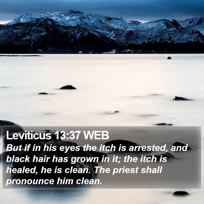 Leviticus 13:37 WEB Bible Study