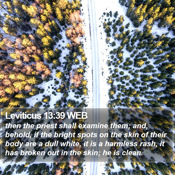 Leviticus 13:39 WEB Bible Study