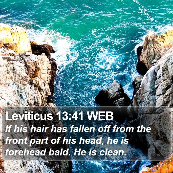 Leviticus 13:41 WEB Bible Study